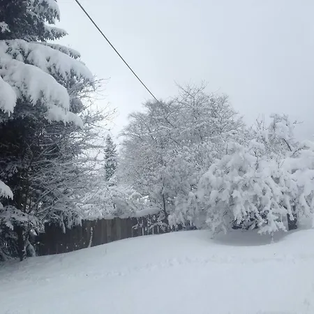 Dom wakacyjny Lucany Lučany nad Nisou